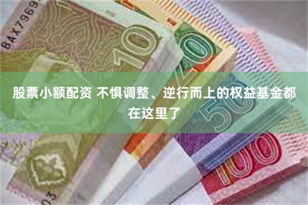 股票小额配资 不惧调整、逆行而上的权益基金都在这里了