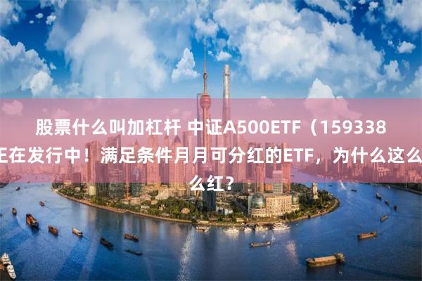 股票什么叫加杠杆 中证A500ETF（159338）正在发行中！满足条件月月可分红的ETF，为什么这么红？