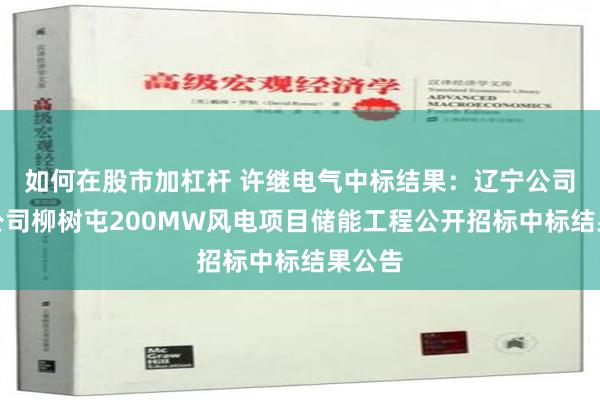 如何在股市加杠杆 许继电气中标结果：辽宁公司康平公司柳树屯200MW风电项目储能工程公开招标中标结果公告