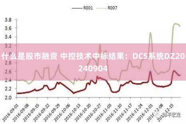 什么是股市融资 中控技术中标结果：DCS系统DZ20240904