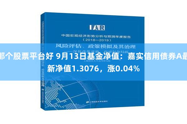 那个股票平台好 9月13日基金净值：嘉实信用债券A最新净值1.3076，涨0.04%