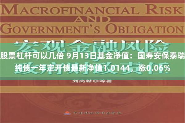 股票杠杆可以几倍 9月13日基金净值：国寿安保泰瑞纯债一年定开债最新净值1.0144，涨0.06%