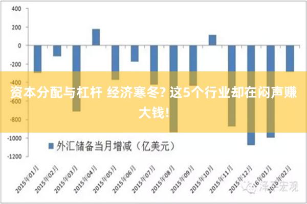 资本分配与杠杆 经济寒冬? 这5个行业却在闷声赚大钱!