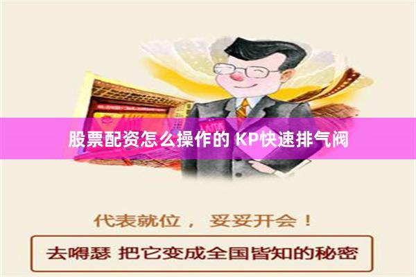 股票配资怎么操作的 KP快速排气阀