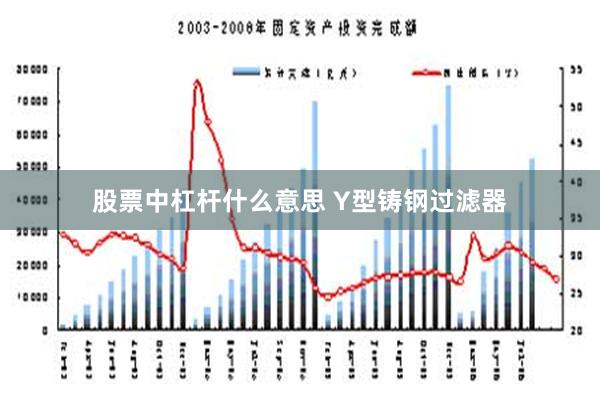 股票中杠杆什么意思 Y型铸钢过滤器