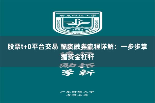 股票t+0平台交易 配资融券流程详解：一步步掌握资金杠杆