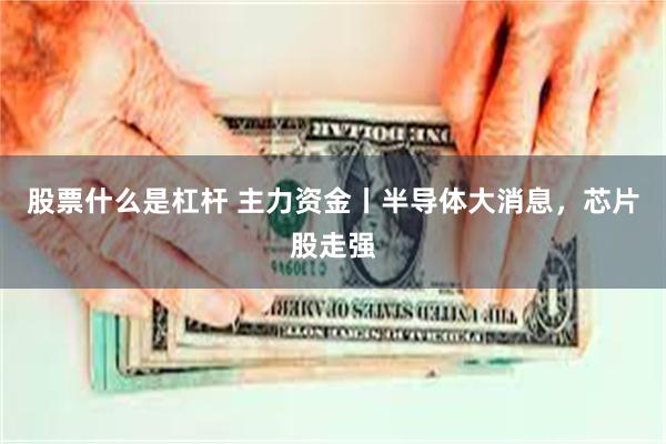 股票什么是杠杆 主力资金丨半导体大消息，芯片股走强