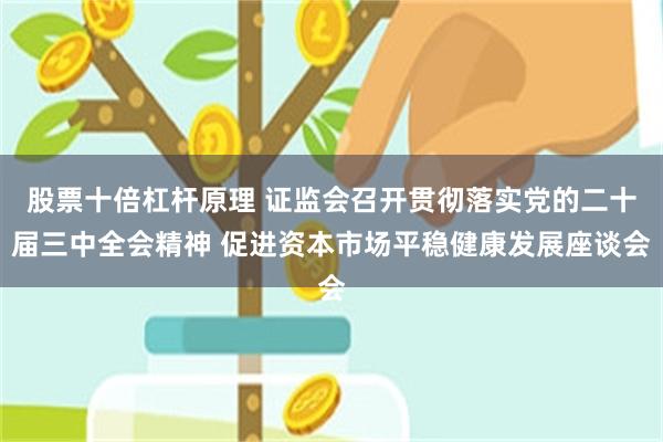 股票十倍杠杆原理 证监会召开贯彻落实党的二十届三中全会精神 促进资本市场平稳健康发展座谈会