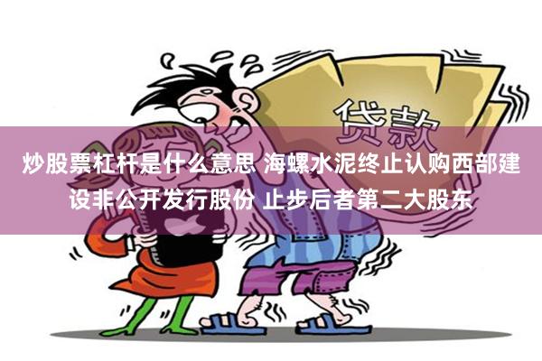 炒股票杠杆是什么意思 海螺水泥终止认购西部建设非公开发行股份 止步后者第二大股东