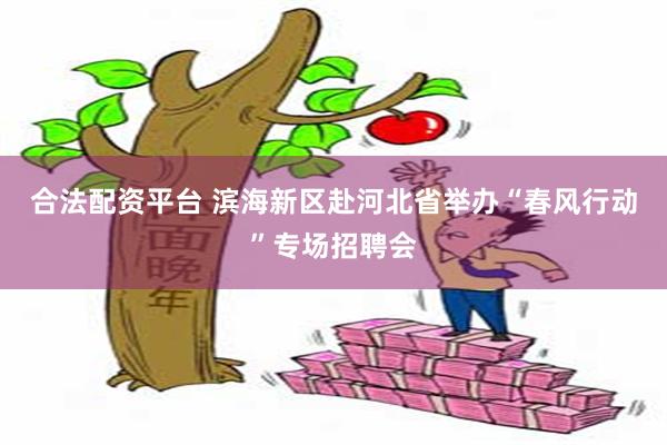 合法配资平台 滨海新区赴河北省举办“春风行动”专场招聘会