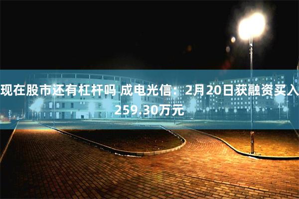 现在股市还有杠杆吗 成电光信：2月20日获融资买入259.30万元