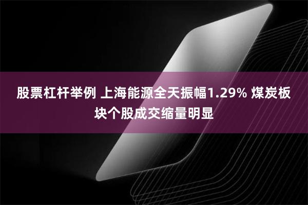 股票杠杆举例 上海能源全天振幅1.29% 煤炭板块个股成交缩量明显