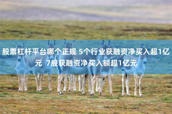 股票杠杆平台哪个正规 5个行业获融资净买入超1亿元  7股获融资净买入额超1亿元