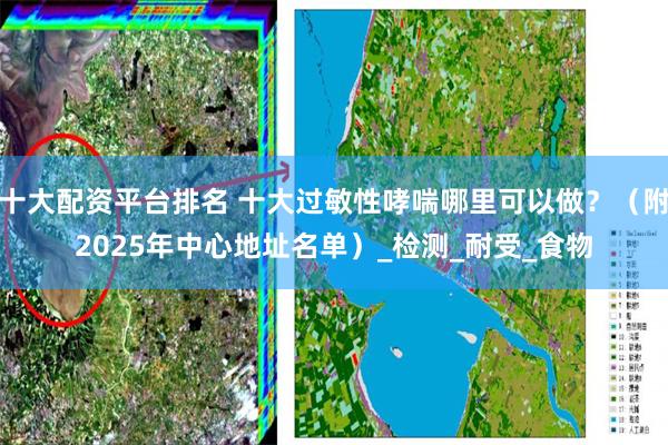 十大配资平台排名 十大过敏性哮喘哪里可以做？（附2025年中心地址名单）_检测_耐受_食物