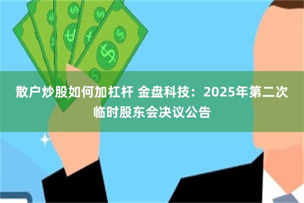 散户炒股如何加杠杆 金盘科技：2025年第二次临时股东会决议公告