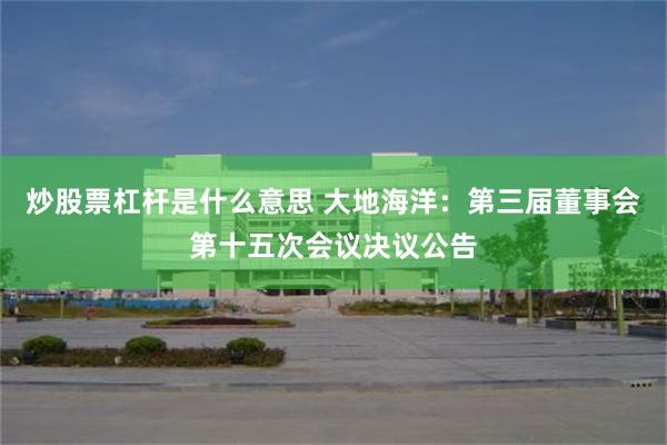 炒股票杠杆是什么意思 大地海洋：第三届董事会第十五次会议决议公告