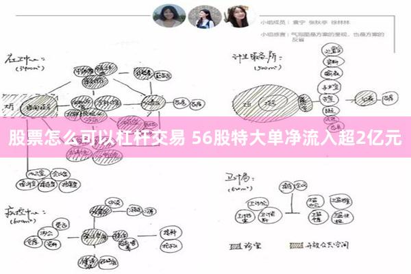 股票怎么可以杠杆交易 56股特大单净流入超2亿元