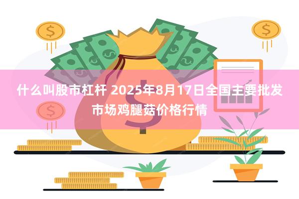 什么叫股市杠杆 2025年8月17日全国主要批发市场鸡腿菇价格行情